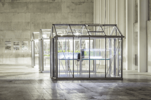 Michael Wang, “Extinct in the Wild”. Foto: Delfino Sisto Legnani e Marco Cappelletti 